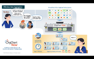 Powerful Data Aggregation with OrgChart